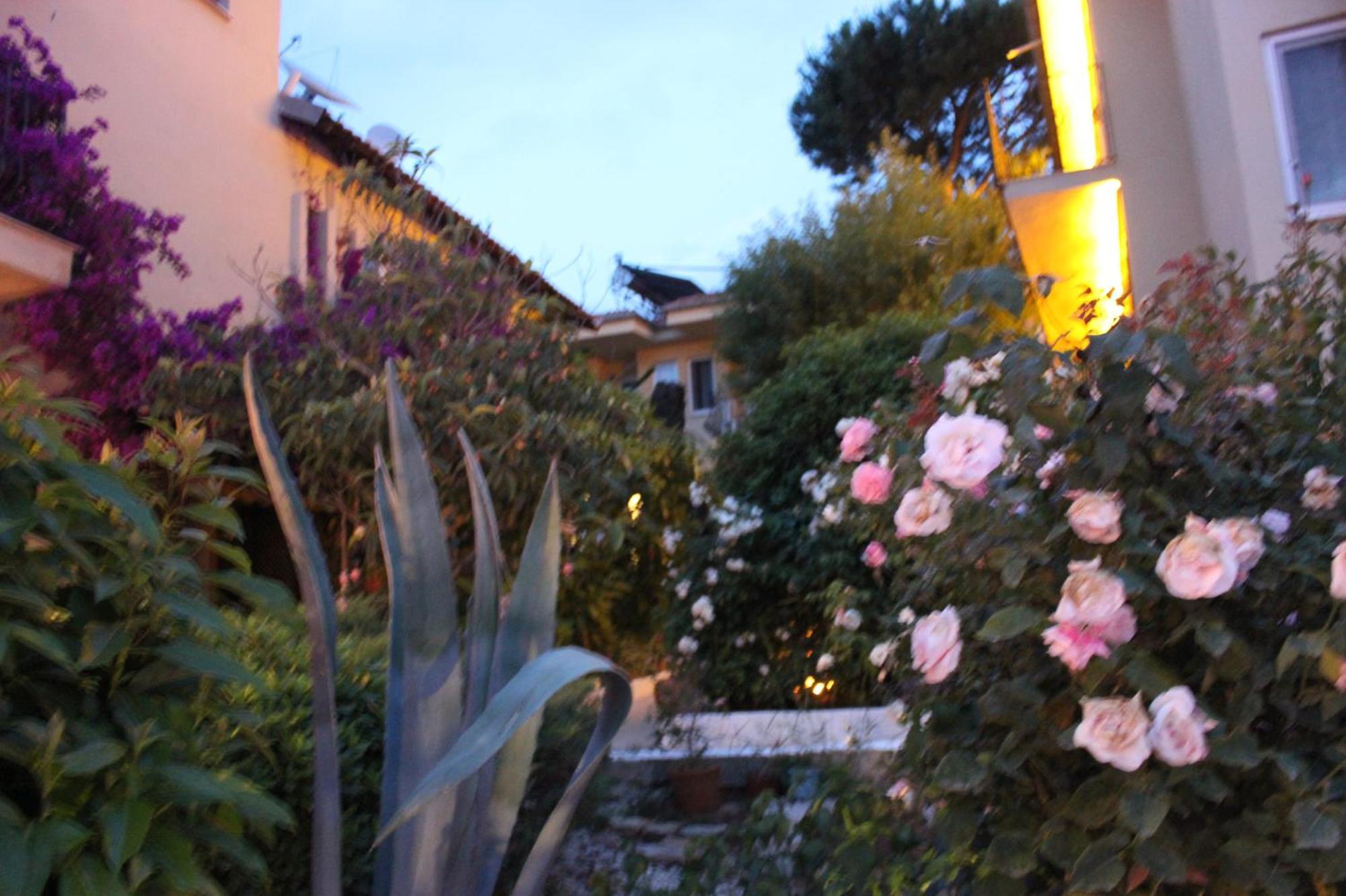 Tunacan Hotel Ölüdeniz Exterior foto