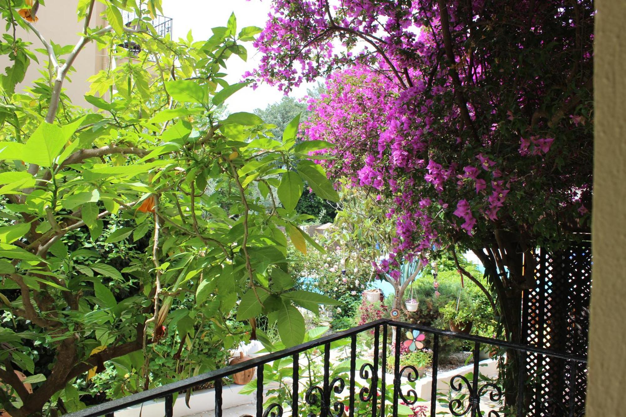 Tunacan Hotel Ölüdeniz Exterior foto